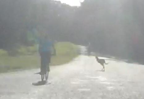 Dorrigo Urunga Bellingen Bicycle Users Group - Dubbug