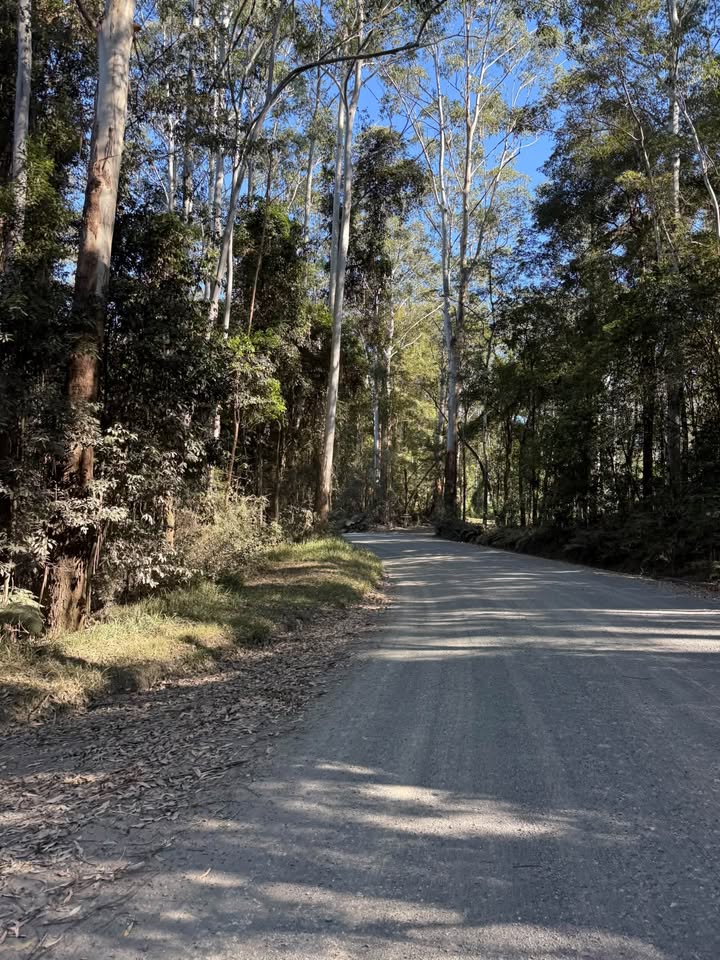 Dorrigo Urunga Bellingen Bicycle Users Group - Dubbug